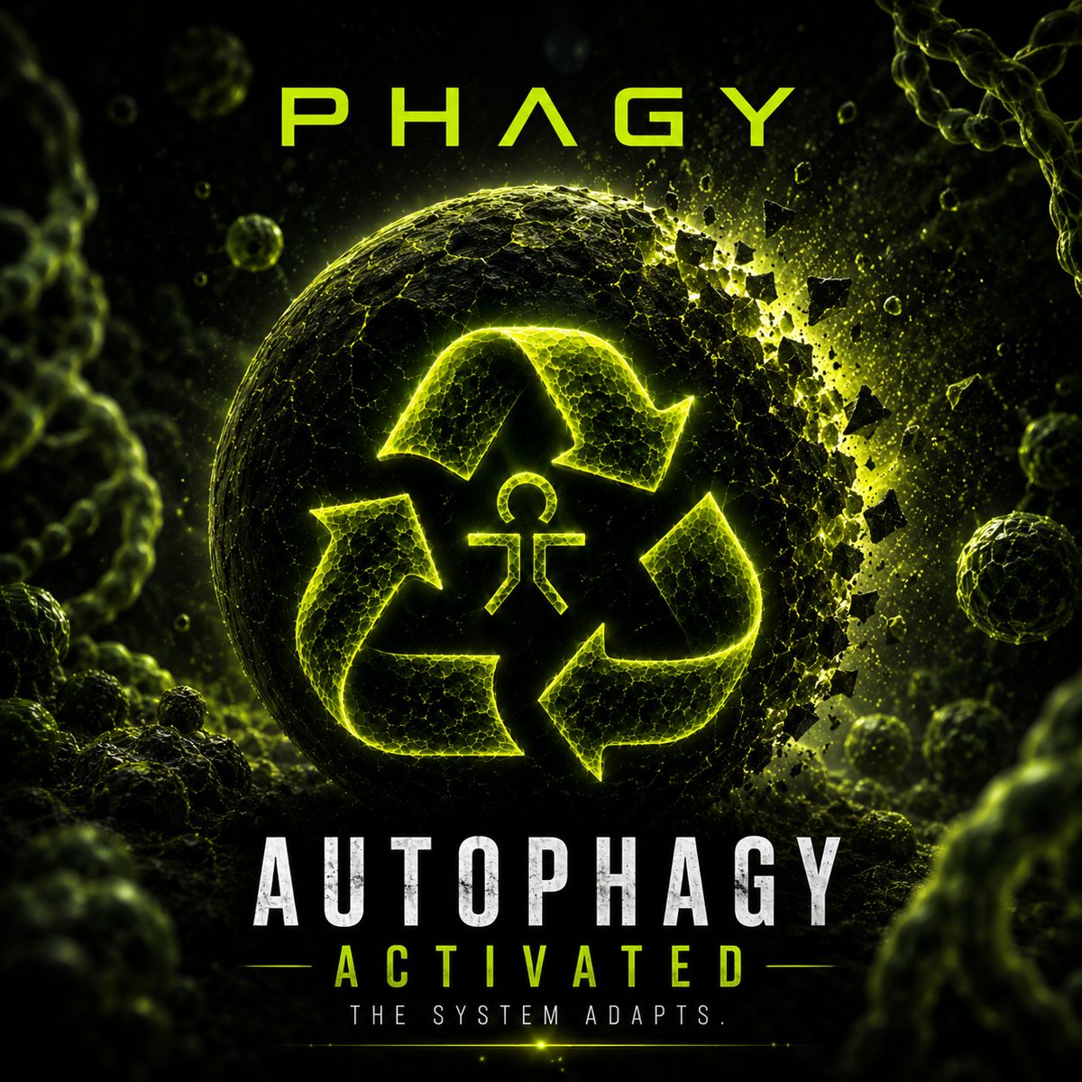 PHAGYDAO's tweet photo. 🧬 AUTOPHAGY COMPLETED
402,500 PHAGY have been permanently burned.
The supply has adapted. The original tokenomics have been restored.
Everything is public. Everything is verifiable.
🔗 On-chain proof below.
Built for Evolution.
#PHAGY #Solana #Web3 #DeFi https://t.co/dmeOxlD3Gk