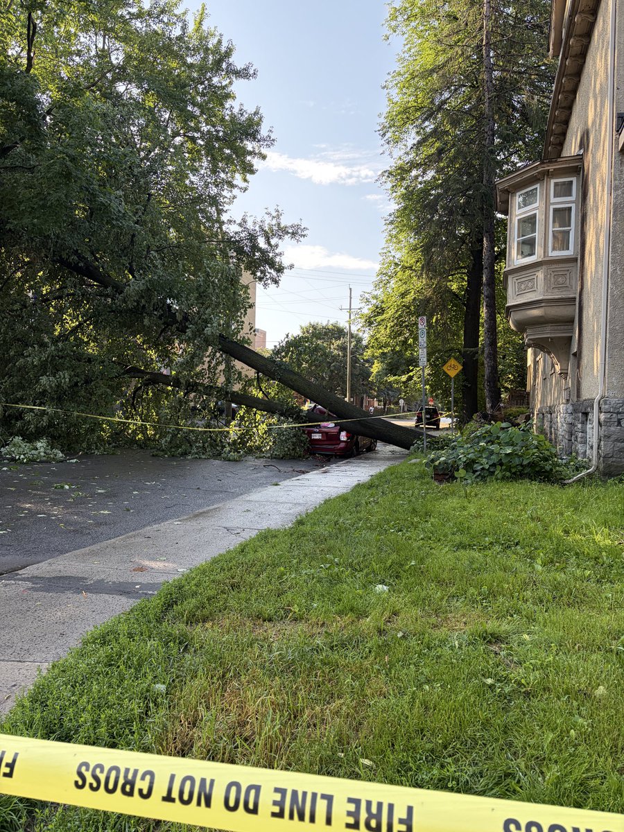 _sonvd's tweet photo. Ottawa storm 2026. The aftermath #ottawa https://t.co/kJ6VZXEyAO