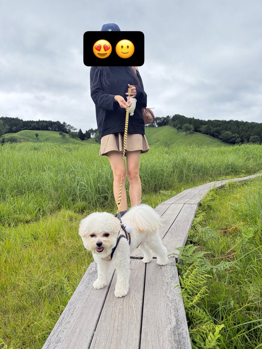nanami___0002's tweet photo. おとんに写真撮ってもらったら犬が輝く https://t.co/93BkJME0QR