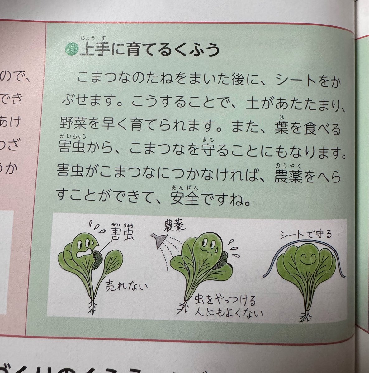 aatomoyaaa's tweet photo. 農薬への認識が小3社会の教科書でこれ。

そら農薬は悪や！！が出てくる訳や... https://t.co/USn11K83Sh