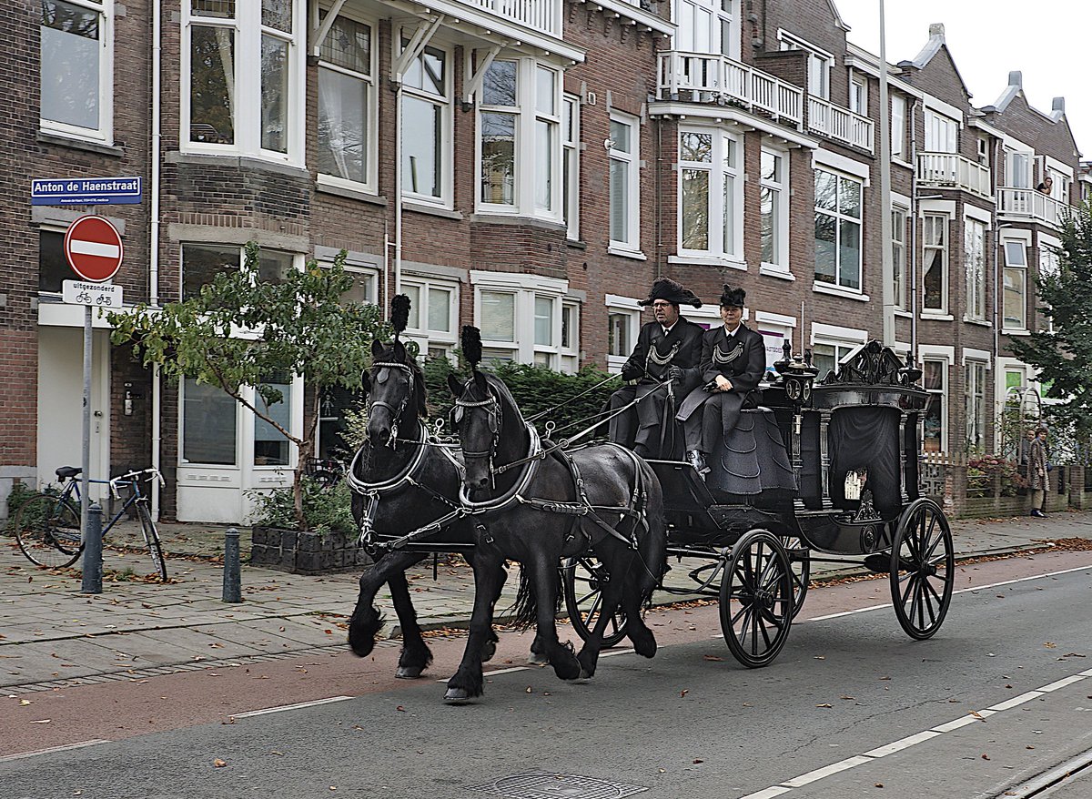 Wijnantsfo53817's tweet photo. Klassieke rouwkoets
Koetsier met dwarsgedragen steek. Rechts op de bok de de voorloper,met in de lengterichting gedragen steek
#rouwkoets
#koetsier
#voorloper
#begraven
#paard
#thehague
#DenHaag https://t.co/n25RnkSgU1