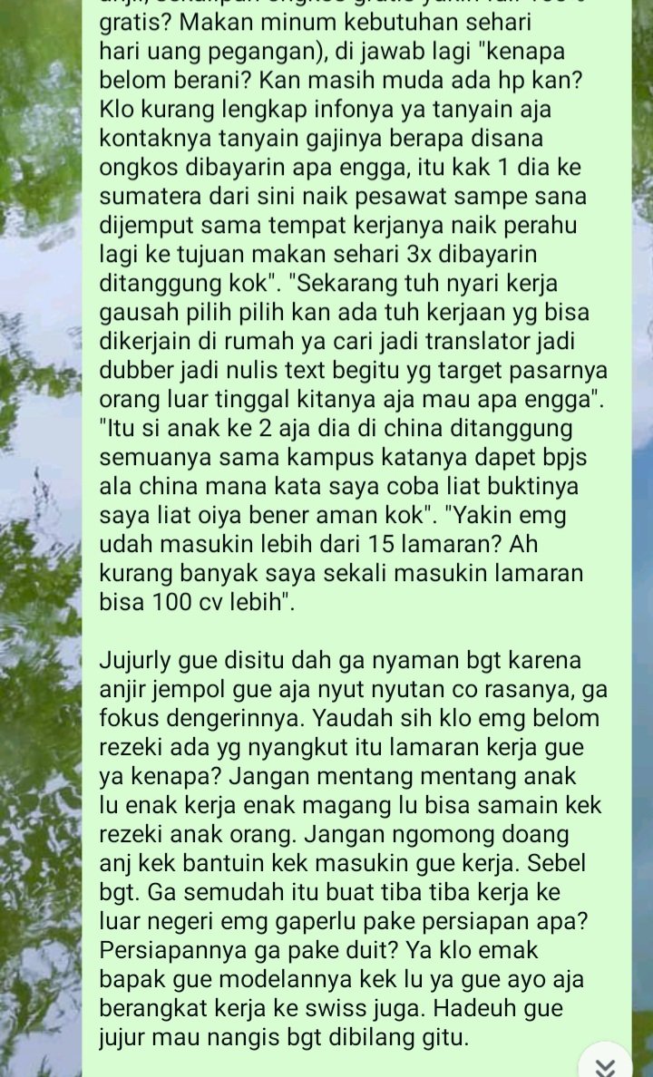 iiindri tweet media