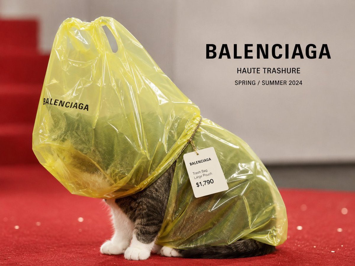 RealMoneyMilo's tweet photo. Catwifbag but this cat drippy 

Balenciaga drip https://t.co/0mpLn9WAhT