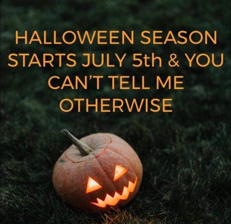 thespookygirll's tweet photo. THIS https://t.co/zyCJmMGxV8