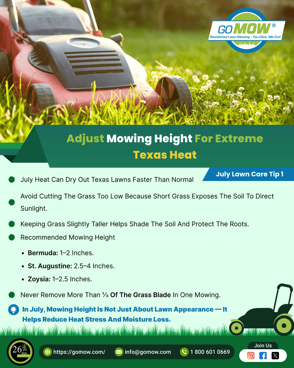 GoMowOfficial's tweet photo. July Lawn Care Tip 1: Adjust Mowing Height for Extreme Texas Heat
Recommended mowing height:
👉 Bermuda: 1–2 inches.
👉 St. Augustine: 2.5–4 inches.
👉 Zoysia: 1–2.5 inches.
🌐 Book online: https://t.co/zg5Z3aVbYJ
🎁 Refer a friend &amp; get rewarded!
#JulyLawnCare #TexasLawnCare https://t.co/9g4HifQftX
