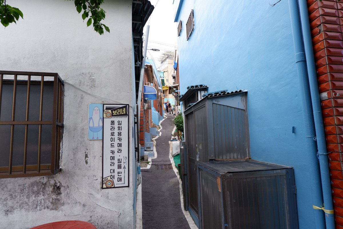 MilkQuirk's tweet photo. Ah yes, my once in a lifetime post in X. Here's some pics of my korea trip https://t.co/wvV50UVSm9