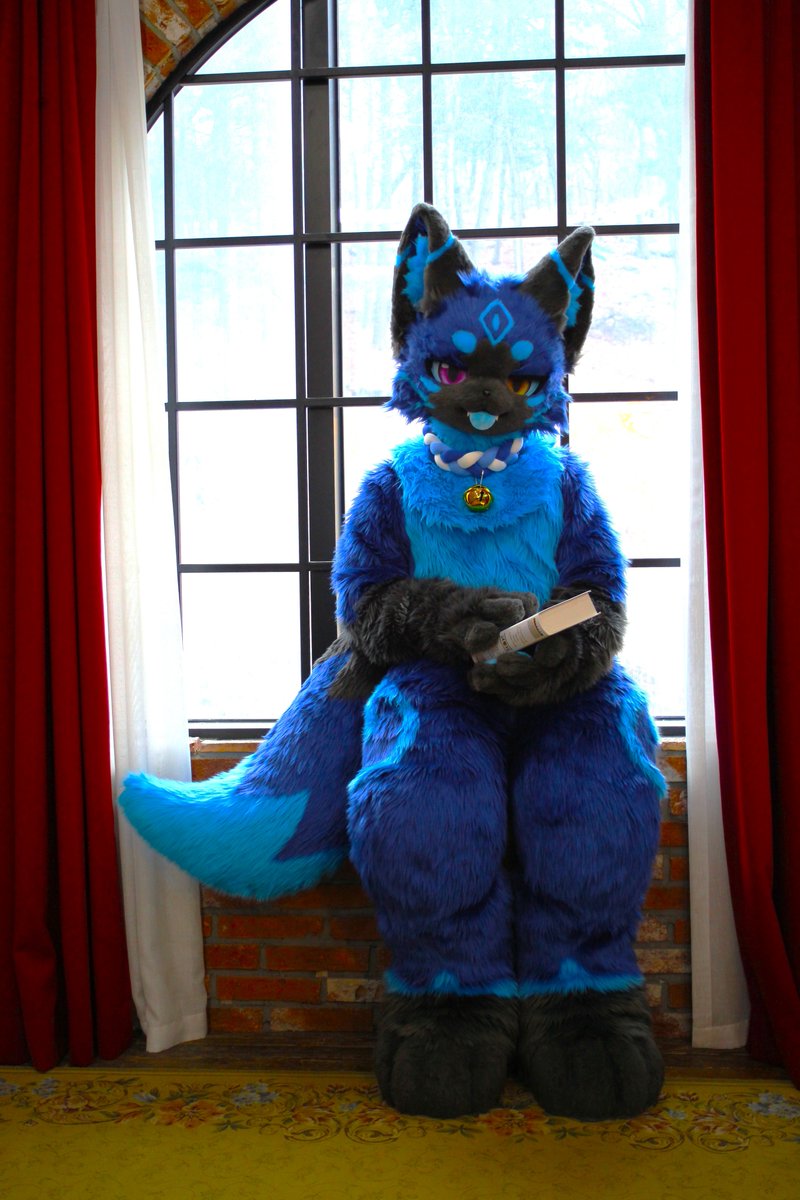 MochiFox93's tweet photo. 여유로운 즐거운 토요일 되세요~
Have a nice Weekends~
📸@jangdaehun31310 #FursuitEveryday https://t.co/5WaE3EfsXQ