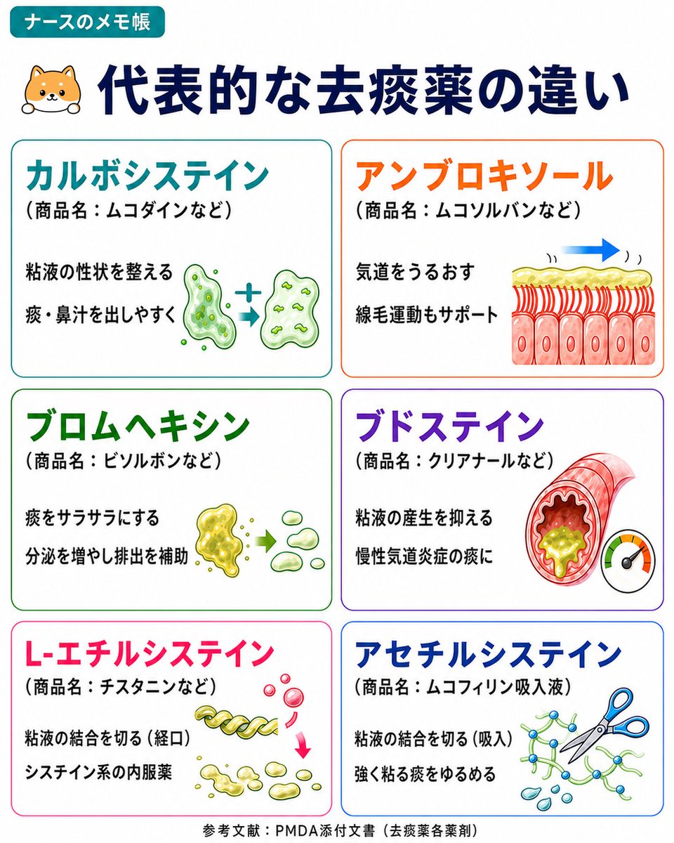 nurse84memo's tweet photo. 看護師向け

去痰薬の違いまとめ https://t.co/V6ox0yEDrs