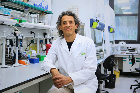 Biotech_Spain's tweet photo. .@IBECBarcelona  Un nuevo estudio revela cómo el comportamiento de las proteínas impulsa  la especialización de la barrera hematoencefálica  https://t.co/KksIroINRI https://t.co/aiqaxjffFL