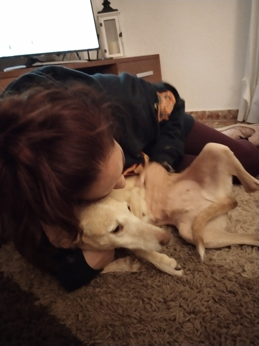ArcaCordoba's tweet photo. VITA

"Fui encontrada tras ser atropellada, estaba paralizada. Por suerte los daños fueron menos de lo que se esperaba y todo gracias a veterinarios y mi acogida. Desde entonces espero mi casa para siempre, soy mimosa, buena, tranquila y dormilona."

🖇️: https://t.co/Kq4eGJ6bIk https://t.co/VrskXzUzIv
