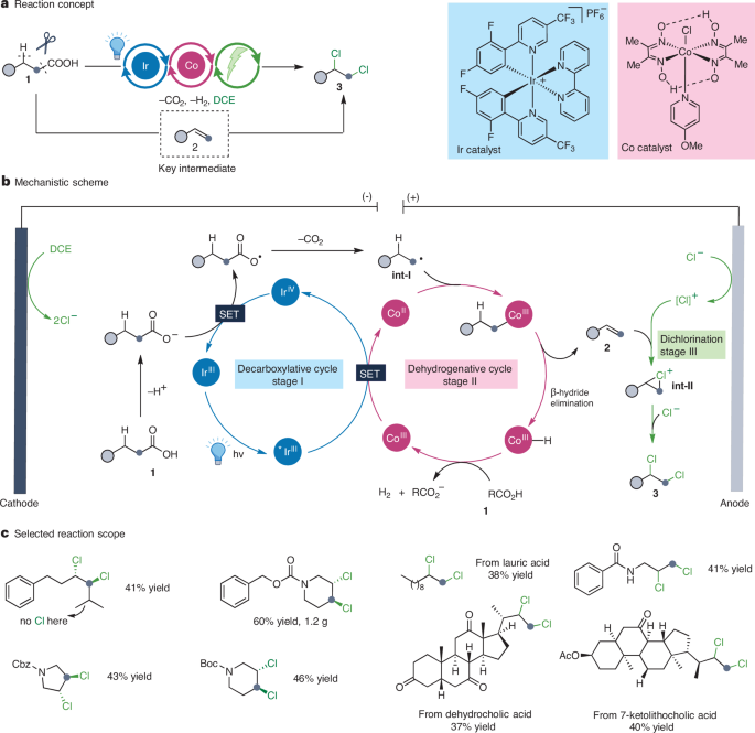 ChemistryNews's tweet photo. Electrophotocatalysis for direct vicinal dichlorination of carboxylic acids https://t.co/l4uD9PjedD https://t.co/LJLNM8avPy