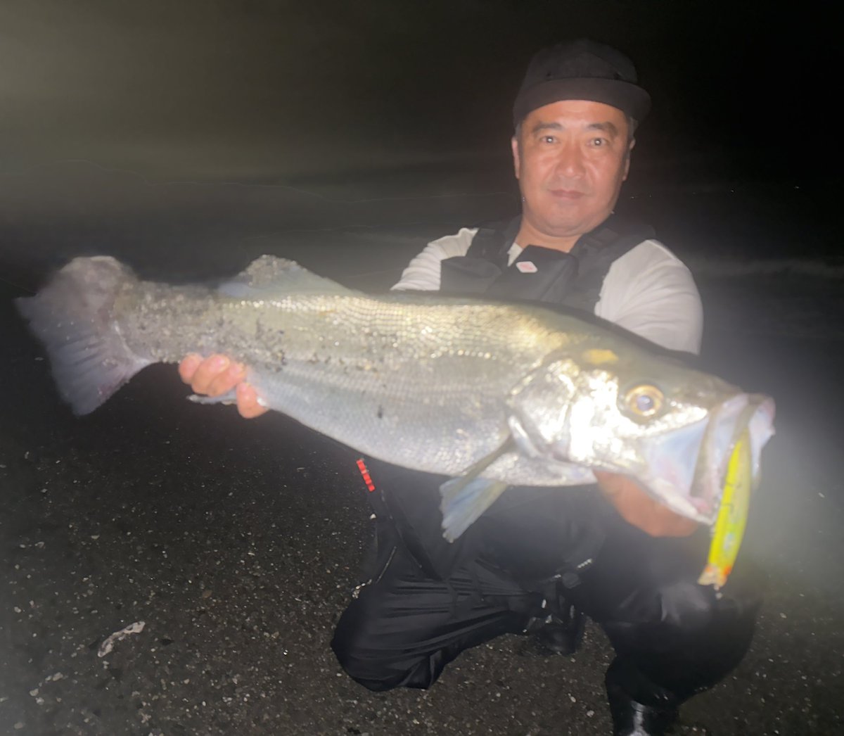 2224K's tweet photo. 雨後の恩恵
マズメパワー
湘南サーフ
ヒラ連発6ヒット3キャッチ
ランカーヒラまで連れてくる
ガマダス135F

アピール系ミノーで
巻きがメインのルアーですが
潮の流れに乗せて巻かない
ドリフトも最強に効く

本当
良く釣れるルアー
是非お試しあれ
#マルジン
#嶋田仁正
#ガマダス135F
#湘南サーフ https://t.co/l9BNQdBBWy