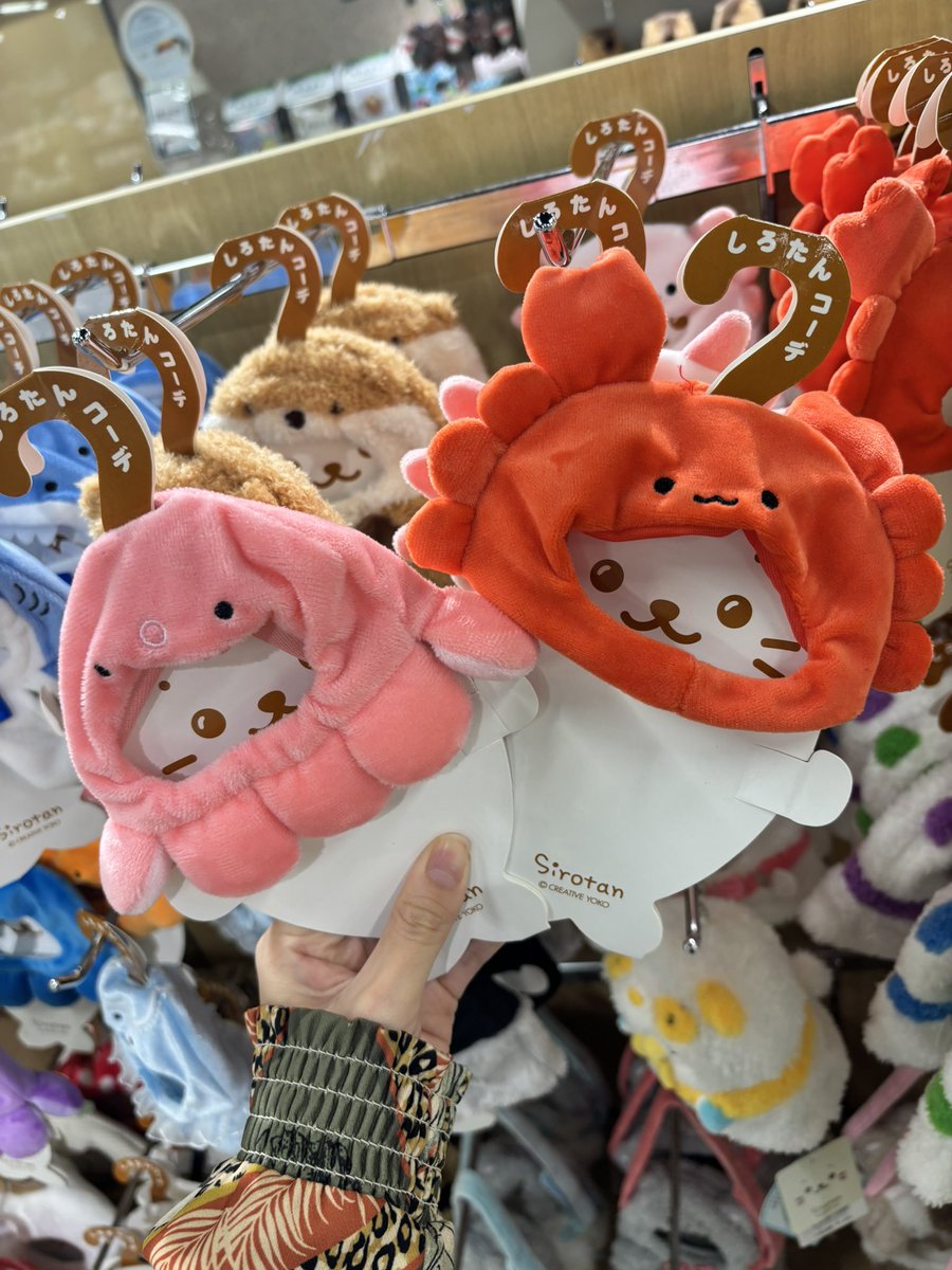 go_for_it_nkmr's tweet photo. 可愛いぃ🥲🥲🥲
買いたかったけど今日はあまりにも散財しすぎたからダメ！ https://t.co/se2ioK0g7e