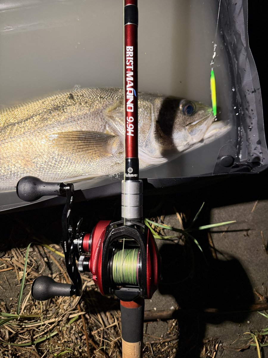 247fishingclub's tweet photo. éšãéã£ãåŸã¯âŠð€
#fishman
#buddyworks
#abugarcia
#247fishingclub https://t.co/L3ZgUSqbb4