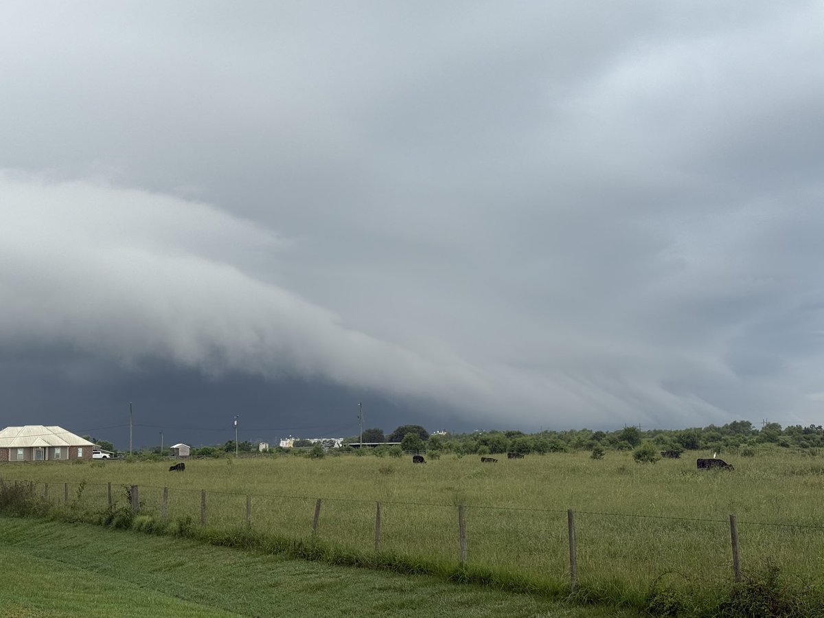 MasDogWx's tweet photo. Never too early for a little outflow shelf!

#lawx https://t.co/IMiEi25i9k