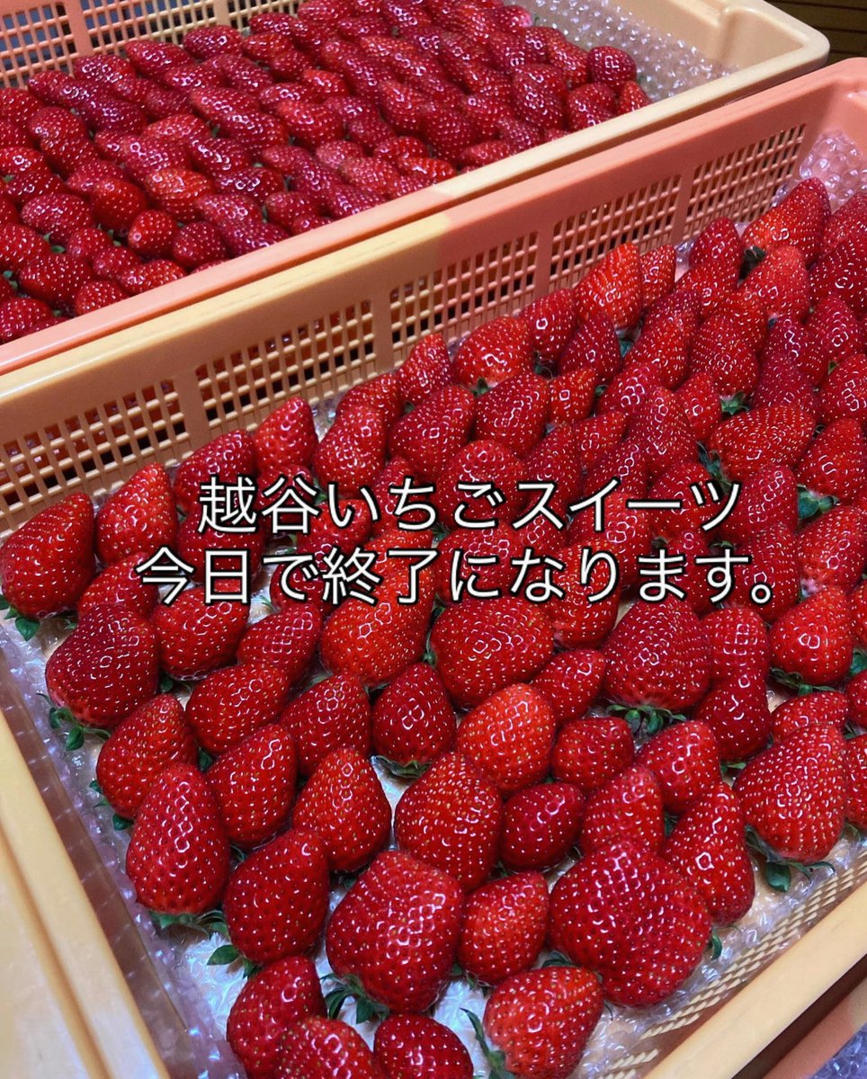 ZeydanBetul's tweet photo. 6月末がEVO、7月〜8月がEWC、8月下旬からSFL、11月はeスポーツネーションズカップ。1年後半の流れが固まってきてるね https://t.co/8pUe56qQLv