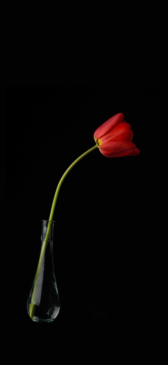 BangBangRich's tweet photo. 🫲 🌺 🤚 Most people want results, but stop chasing every signal, because risk management matters more than predictions. https://t.co/huuzUy1ObD