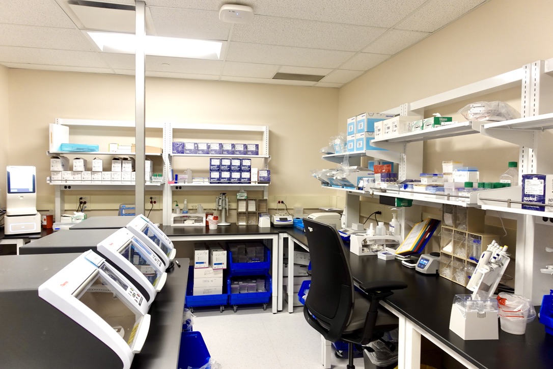 William Osler Health System tweet media