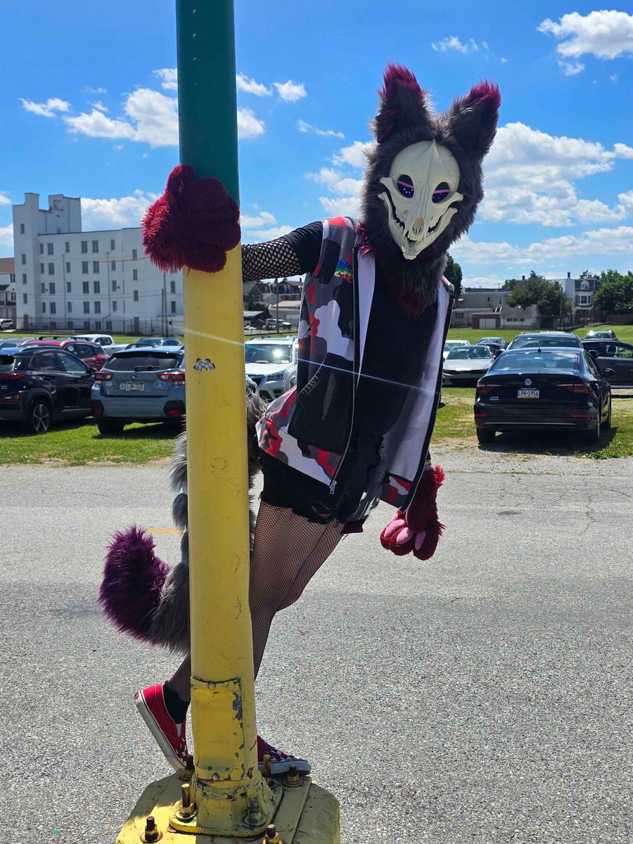 AvelAfter's tweet photo. FIND ME AT ANTHROCON 2026

THINGS TO DO:
✅ Ask for a balloon
✅ Bite force competition
✅ Calcium bartering
✅ Puffkiss

THINGS TO NOT DO:
❌ Ask about the wires
❌ Ask about the wires
❌ Ask about the wires

THINGS YOU CAN MAYBE DO:
⚠️ Ask about the wires
⚠️ Poke me delicately https://t.co/Rq5yijFMkw