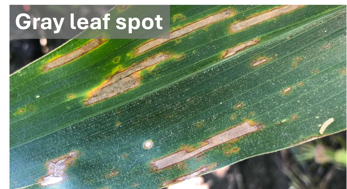 Crop Protection Network tweet media