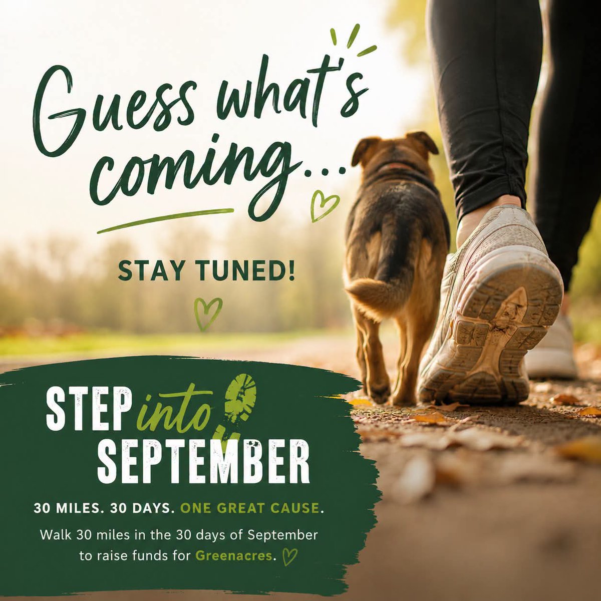 team_greenacres's tweet photo. Put your walking boots on &amp; get ready to Step into September with us to raise vital funds 🥾🐶🥾

#teamgreenacres #rescue #k9hour #rehomehour #teamzay #stepintoseptember #fundraising #fundraiser #Pembrokeshire #wales https://t.co/5ndVTqotZI