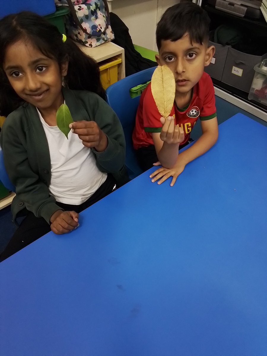 Class 1S tweet media