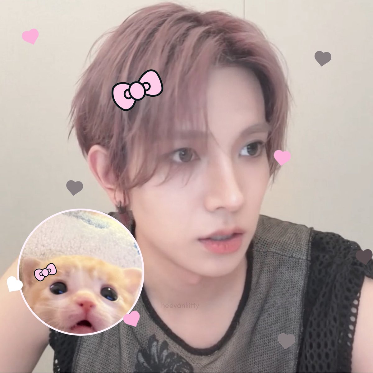 heevankitty's tweet photo. #EVAN 냥 🐾♡ https://t.co/opVF3vXuh0