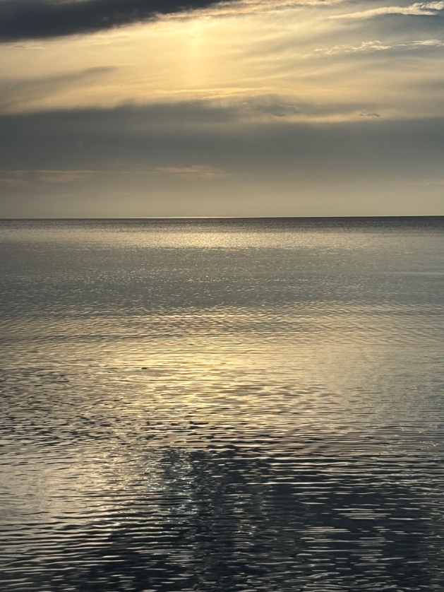 ChrisGo06119032's tweet photo. Beach Life… https://t.co/69cmCfD4q5