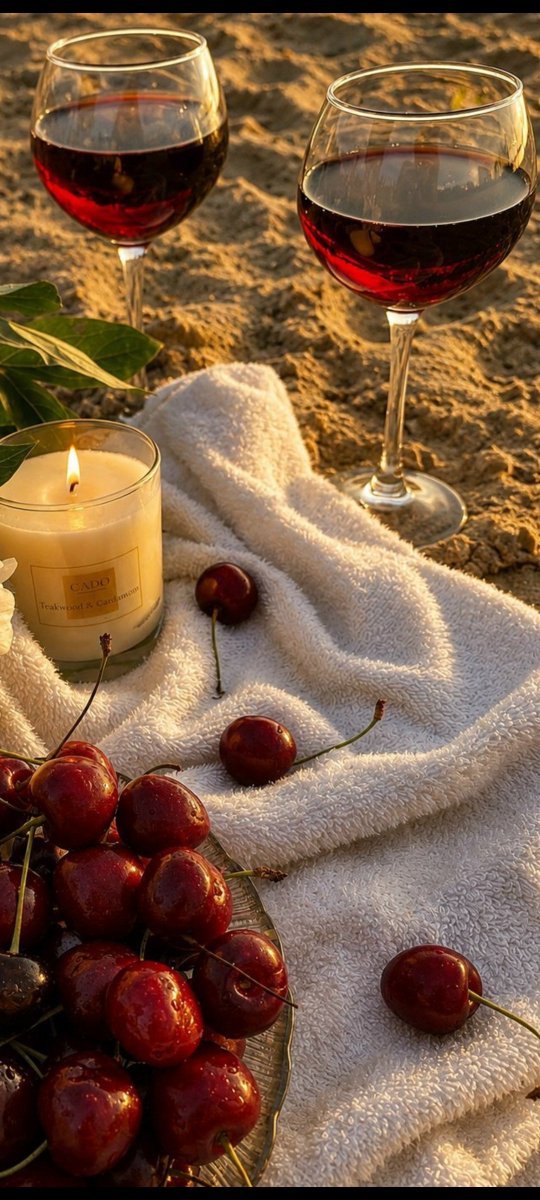 KAANCapodocia's tweet photo. 🌹🌹Romantic evening 🫶🍷🌹🍷🫶 https://t.co/nIEBxxNNre