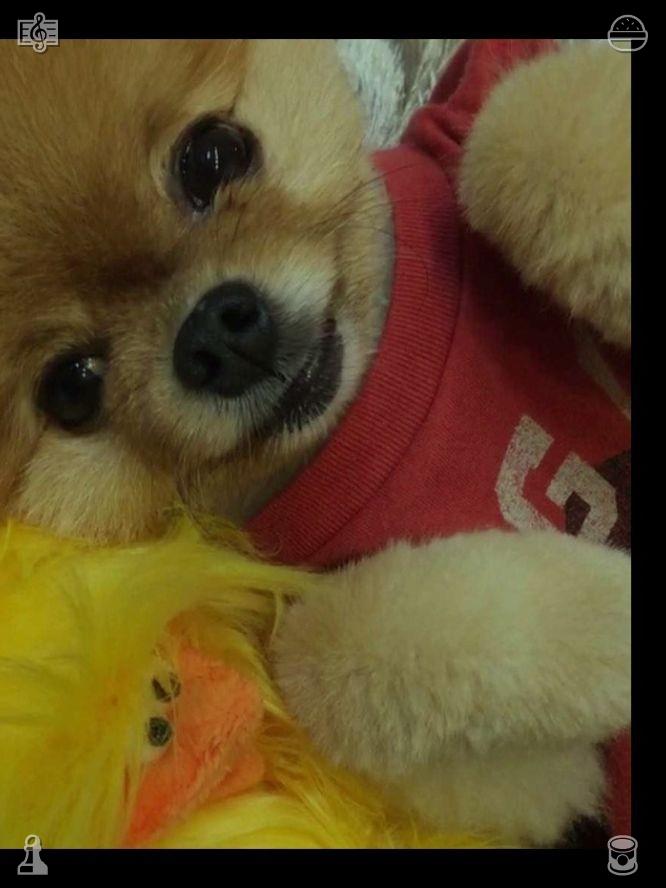 YuihideF's tweet photo. 摩天轮停在了顶端，座舱内的灯光愈发明亮，映照出一个留着黑色直发、身穿灰色连衣裙的年轻女孩。她脸色苍白，眼神中充满了悲伤，正如当年的克拉拉一样。🛖关掉台灯 https://t.co/trkpVsbc4l