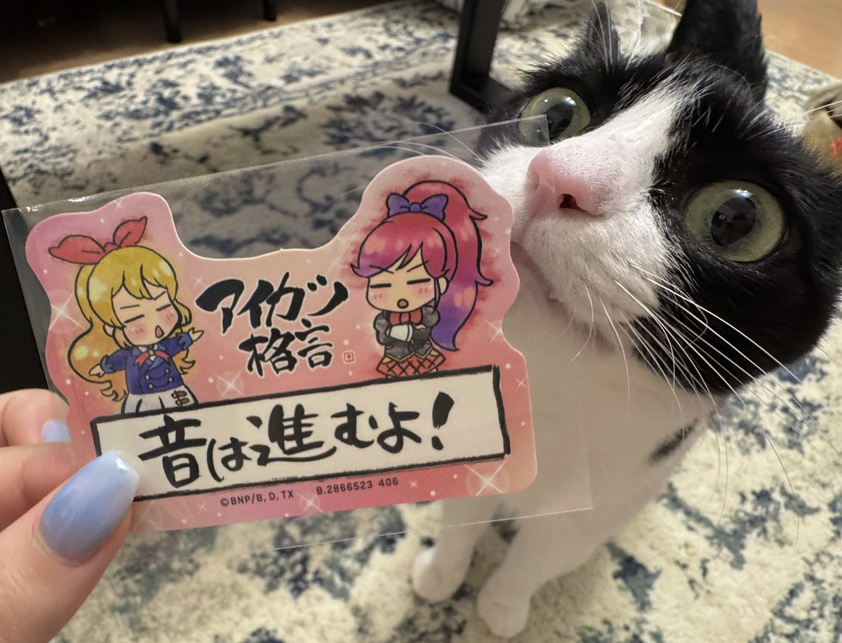 saabow_'s tweet photo. https://t.co/7Z9aRsczQz