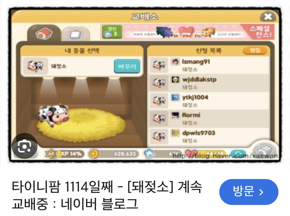 chyachyam's tweet photo. 돼젖소 1114일째 교배중 https://t.co/WtJIKNlreh