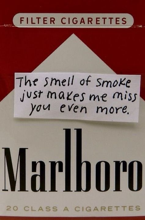 llpipi's tweet photo. https://t.co/SW82mzceRU