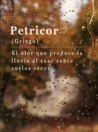 gianpvia's tweet photo. Al Petricòr non si comanda https://t.co/p3QyxUbreO