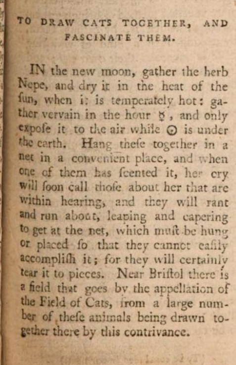 HorribleSanity's tweet photo. In 1791, "Conjuror's Magazine" published some helpful tips for all Crazy Cat Ladies (and Gentlemen.) You know who you are. Enjoy! #FolkloreThursday https://t.co/xqoLGENrQd