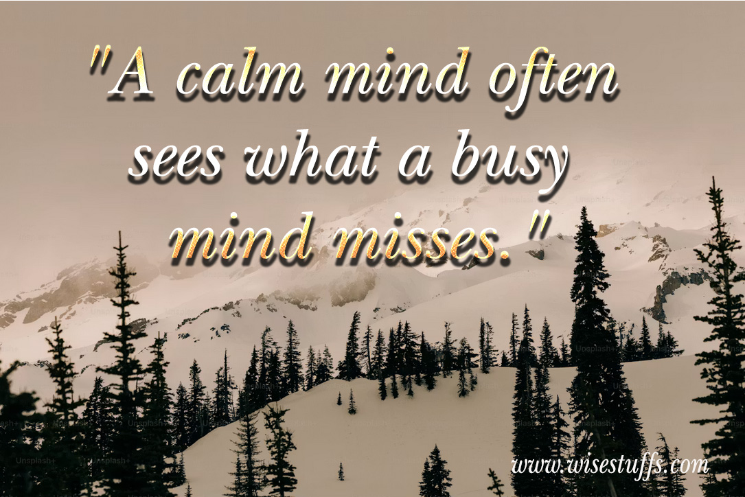 wisestuffs's tweet photo. "A calm mind often sees what a busy mind misses." https://t.co/GKyed1Gq2f