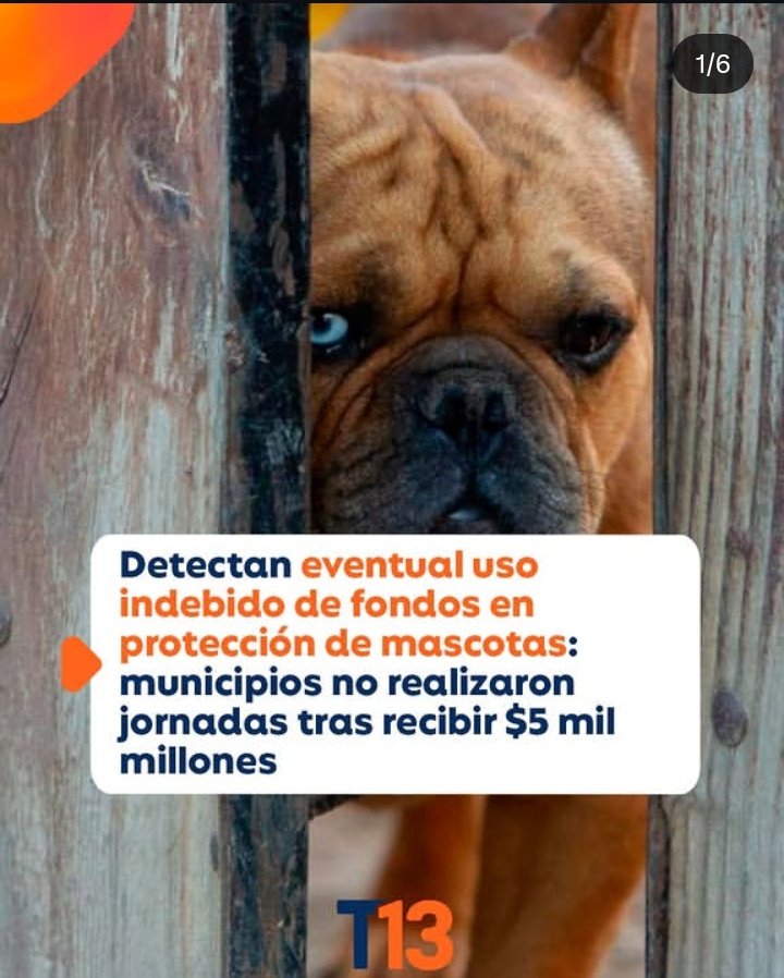 Ru_lif's tweet photo. Las municipalidades teniendo los recursos no los usan para lo que son derivados , cumplir la ley cholito , y deciden lavarse las manos y dejar la responsabilidad en las agrupaciones o rescatistas, esos fondos deberían ir a quienes si hacen la pega ... https://t.co/5T4ySuOEK8
