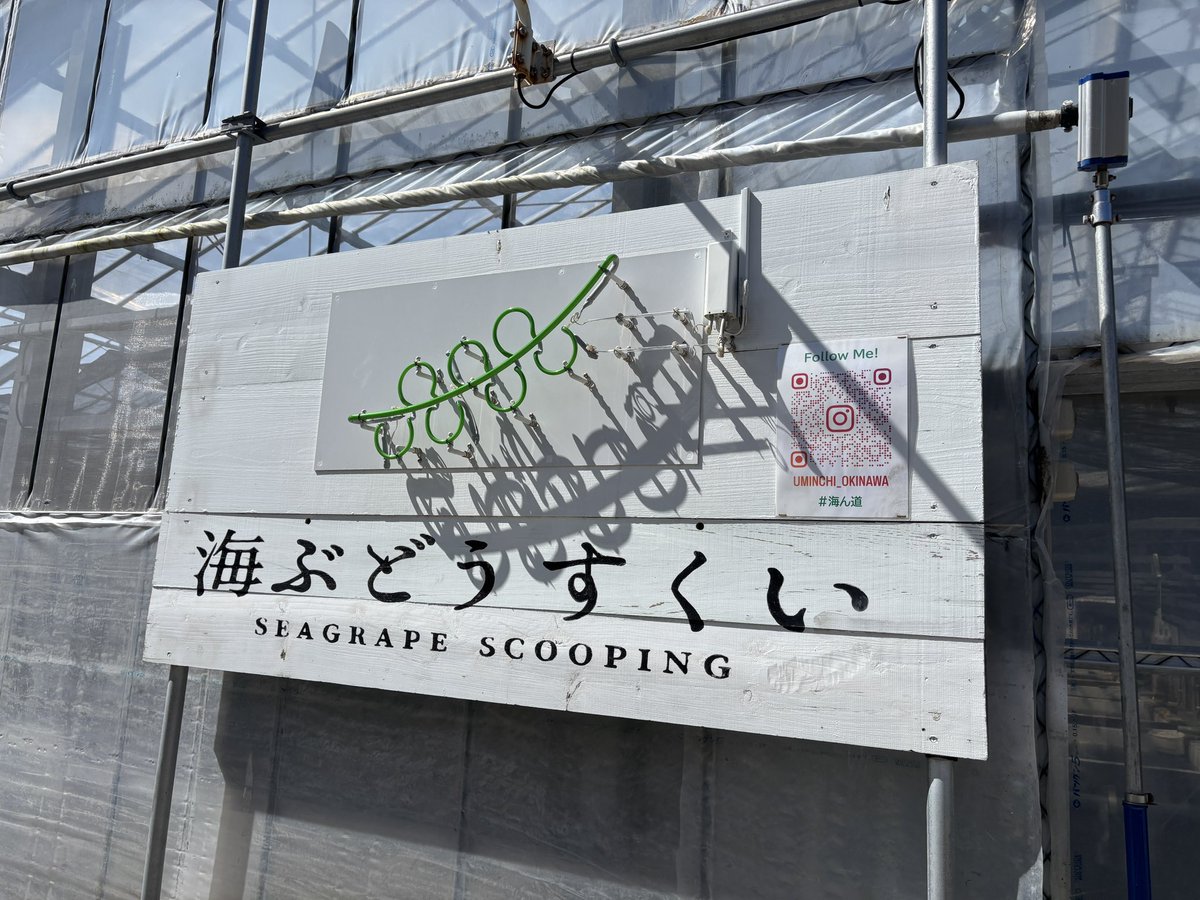 Ao__505's tweet photo. 帰宅しました
旅行最終日！
朝から海ぶどうすくいして海ぶどうソフト(バニラ)食べて、サンエーでお土産買いに行き、国際道りでもお土産や散策して空港でゆっくりし搭乗、怪我もなく無事に旅行終えました！
あっという間の3泊4日でしたが、凄く楽しい旅行でした！
海ぶどうすくいは楽しい！ https://t.co/QGCwGWvrfF