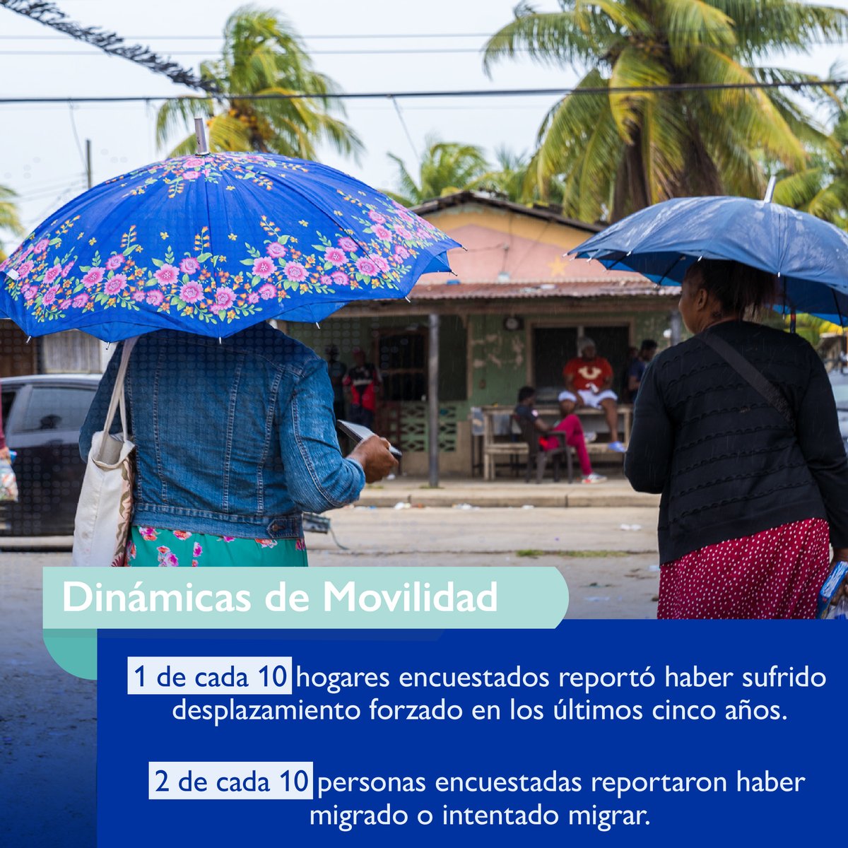 OIMhonduras's tweet photo. 📍¿Qué está impulsando la movilidad humana y el desplazamiento interno en Tela?
La #DTM aporta evidencia clave para comprender estas dinámicas y fortalecer la respuesta a las comunidades.
📊 Conoce los hallazgos y el informe completo: https://t.co/X57I5bw0g2 https://t.co/8zYDn3kweE