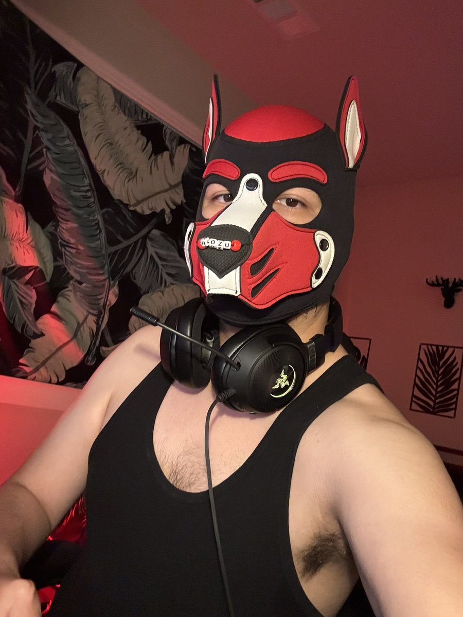 PupRozu's tweet photo. always a gaymer pup 🎮~

(who may or may not get back into streaming soon 👀👾) https://t.co/t9WN4z0tdD