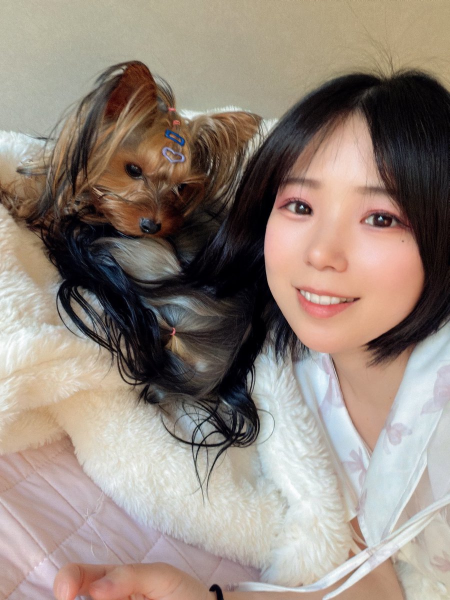 Kira_ribonsweet's tweet photo. 猫ばっかり流れてくれけどどこかに犬派いない？🐶 https://t.co/iYaSzeR5yq