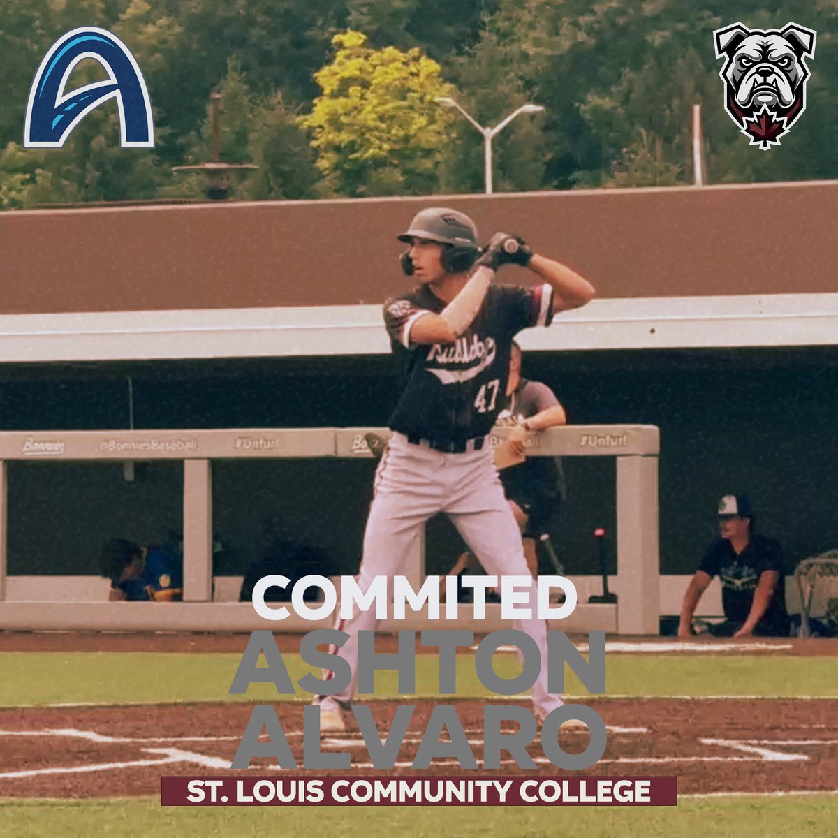 CanBulldogs's tweet photo. π¨π¨ Commitment Alertπ¨π¨
Big congratulations to Ashton Alvaro (@AshtonAlvaro47) on his commitment to St. Louis CC (NJCAA Division I). We're excited to watch this next chapter unfold for Ashton.
#BulldogBuilt https://t.co/OAWq4DgxLO