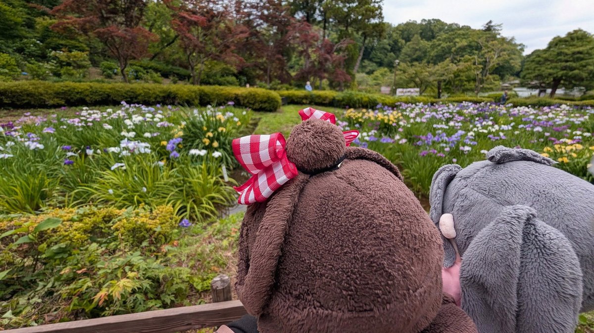 tapoutb's tweet photo. マナフィがめっちゃかわいかったのと、激カワフリフリ衣装でいつものｼｭﾊﾞｯをやってる先輩も最高だった https://t.co/EsUBIrTLcz