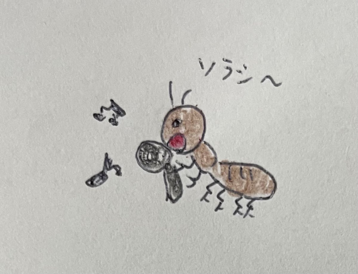 はちみつぼーや tweet media