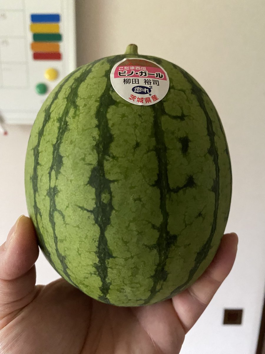 nikosorit's tweet photo. 今年初スイカ🍉 https://t.co/vDB0a3Fw8J