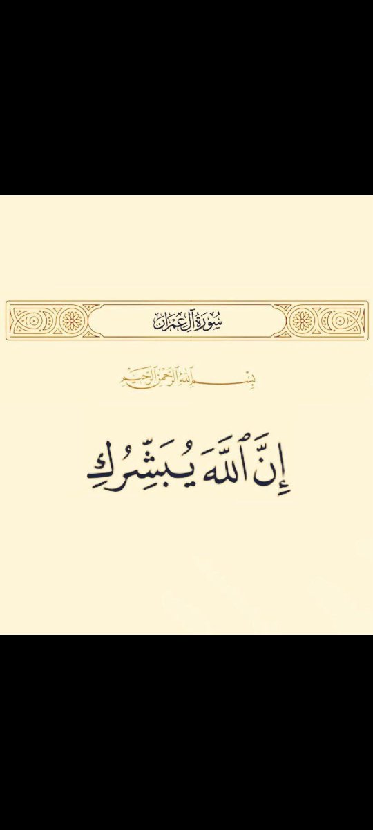 jarallh_bn89320 tweet picture