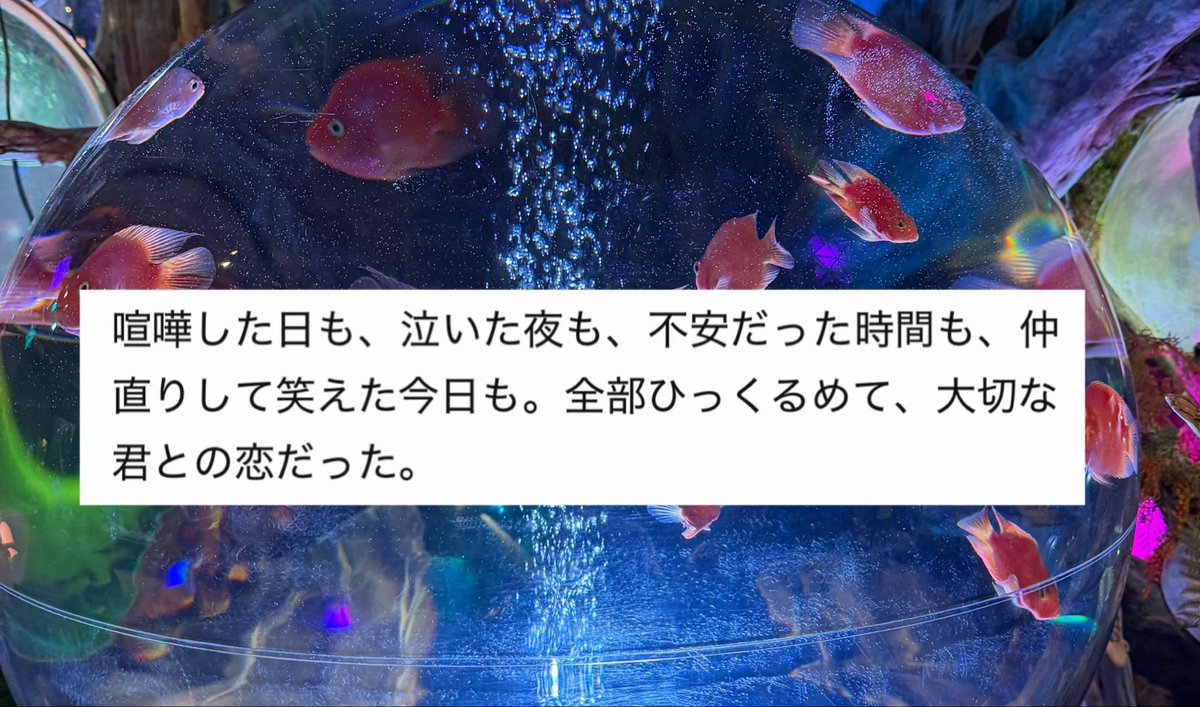 wing_mo9's tweet photo. 本当にそうだった https://t.co/jnd2vUAiE5