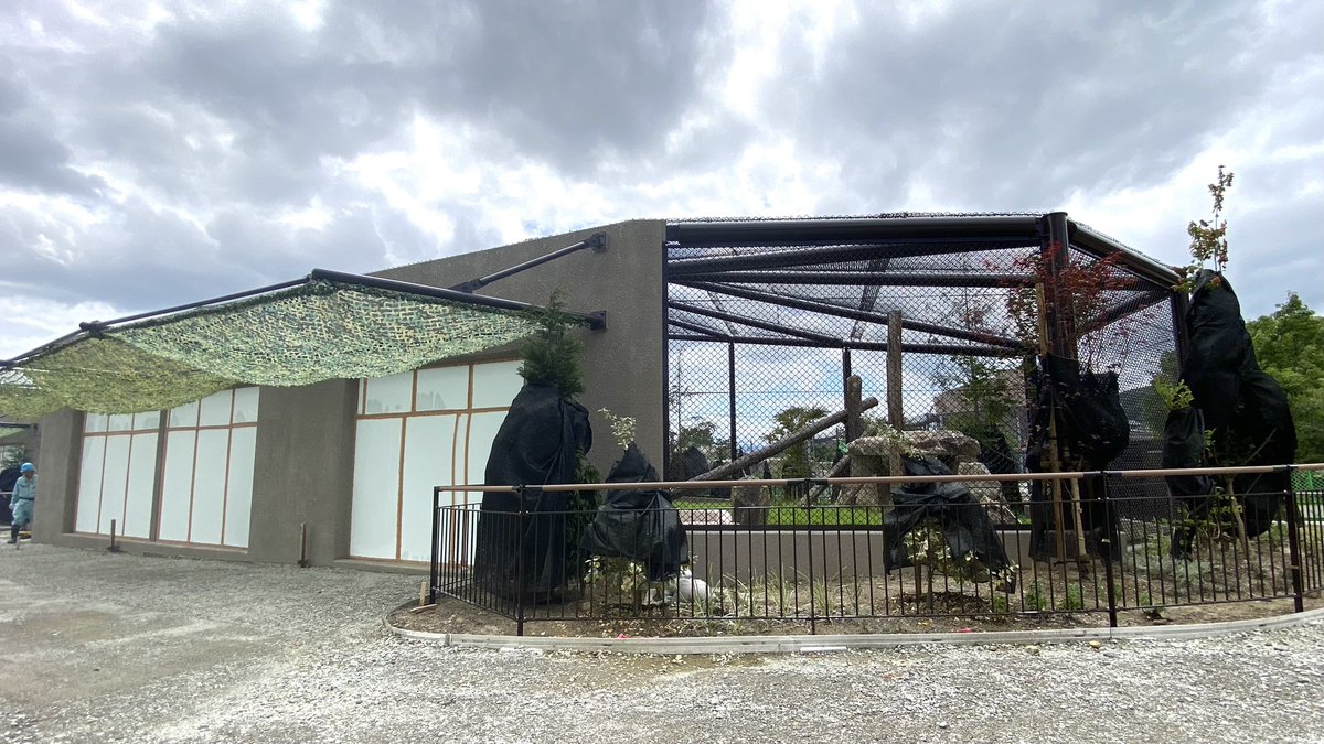 TOKUYAMA_ZOO's tweet photo. リニューアル工事中の新トラ舎。
人止め柵が新たに設置されました。
柵がない部分はガラスビューとなります。
近づいてくれるかは #ミルル 次第ですが、澄んだきれいな目、大きな手、しなやかな尾等を間近でご覧いただける日が来るかもしれません。
秋頃オープン予定です

#徳山動物園　#アムールトラ https://t.co/gobkmdw2xo
