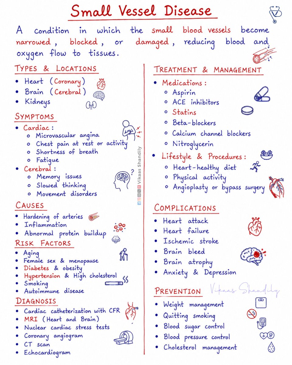 VikaasShandily's tweet photo. Small Vessel Disease| Symptoms, Diagnosis &amp; Management 
#SmallVesselDisease #ClinicalMedicine  #Medical #cardio #VikaasShandily https://t.co/DM7TauRqs4