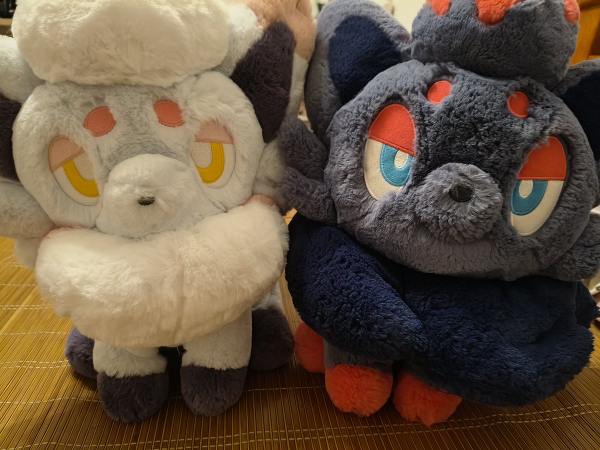zero7652747's tweet photo. 可愛すぎて言葉が出ません https://t.co/yfNiyHwSBt
